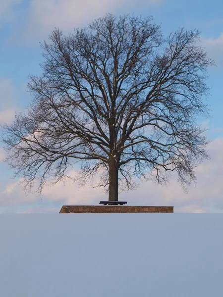 Hermosa Vista Del Paisaje Invierno — Foto de Stock