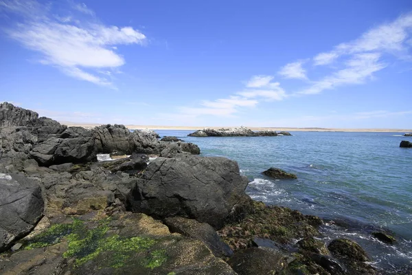 Praias Porto Perto Bahia Inglesia Caldera Chile — Fotografia de Stock