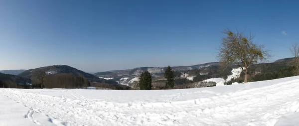 Malerischer Blick Auf Die Verschneite Winterlandschaft — Stockfoto