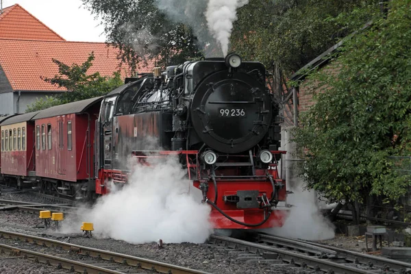 Locomotora Vapor Harz Vías Férreas Ancho Estrecho —  Fotos de Stock