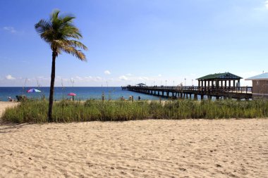 Sunbathing vacationers along the shores of Lauderdale-by-the-Sea, Florida on a beautiful autumn day with Angler's Pier the right filled with people fishing.  clipart