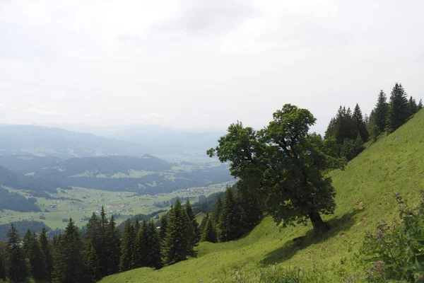 Pittoresk Uitzicht Natuur — Stockfoto