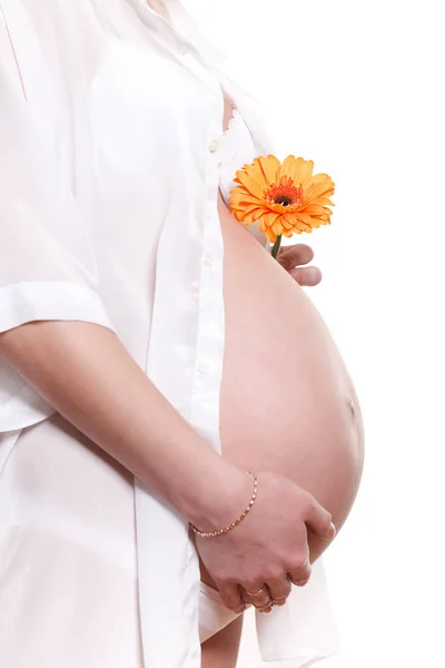 Беременная Женщина Цветком Белом Фоне — стоковое фото