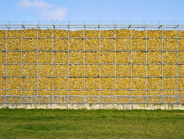 Mais Mauer Gelb Natur Erinnerung — Stockfoto