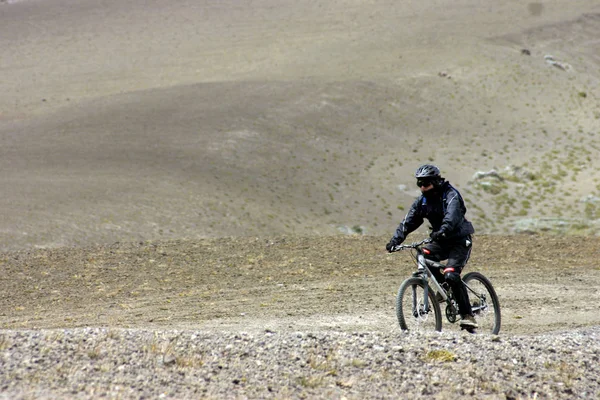 Desierto Arena Paisaje Dunas — Foto de Stock