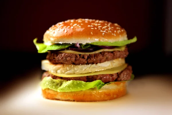 Lezzetli Fast Food Yemeğinin Yakın Plan Görüntüsü — Stok fotoğraf