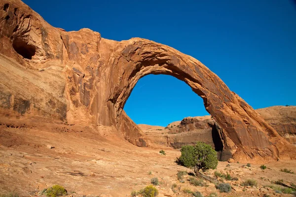 Corona Arch Klassieke — Stockfoto