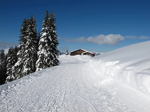 Berghaus Wispile Árvores Cobertas Neve — Fotografia de Stock