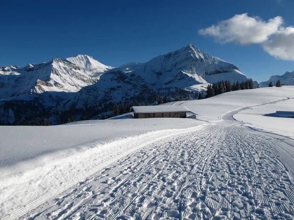 Wildstrubel Και Spitzhorn Χειμώνα Βουνά — Φωτογραφία Αρχείου
