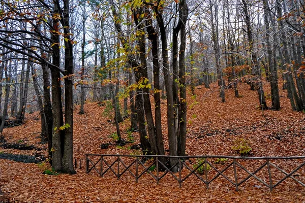 Ätna Schöne Herbstlandschaft — Stockfoto