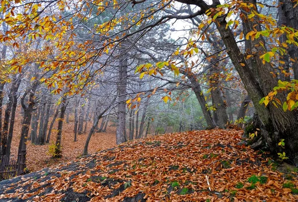 Etna Bela Paisagem Outono — Fotografia de Stock