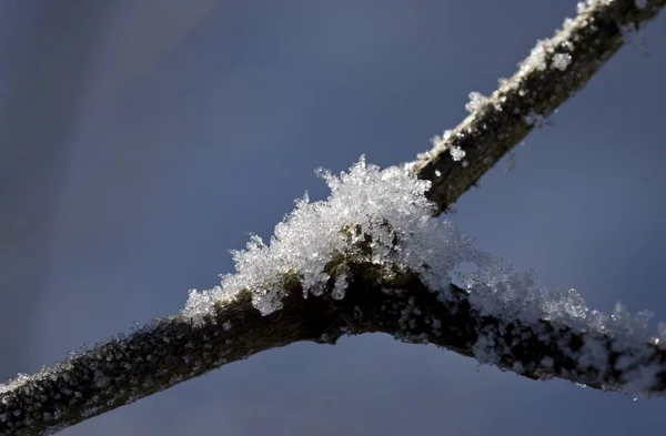 Utsikt Över Vinterscen — Stockfoto