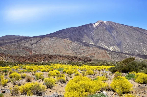 Teide Spaans Pico Del Teide Een Vulkaan Tenerife Canarische Eilanden — Stockfoto