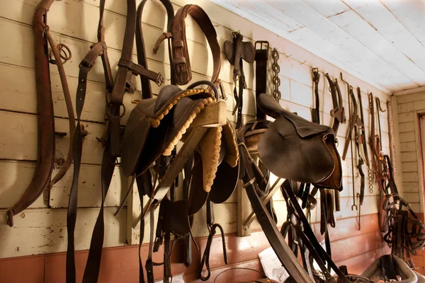 Saddlery wall lined with horse equipment including saddles and tack