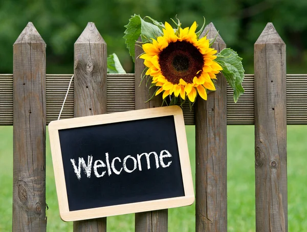 Houten Frame Met Krijtbord Bloemen — Stockfoto