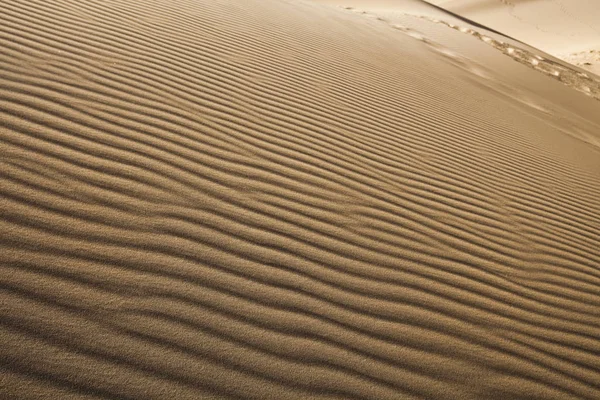 沙质沙漠 沙丘景观 — 图库照片
