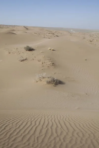 Deserto Arenoso Paisagem Duna — Fotografia de Stock