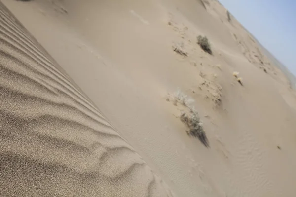 Sandy Desert Dune Landscape — Stock Photo, Image