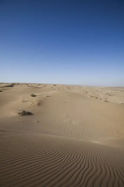 Deserto Arenoso Paisagem Duna — Fotografia de Stock