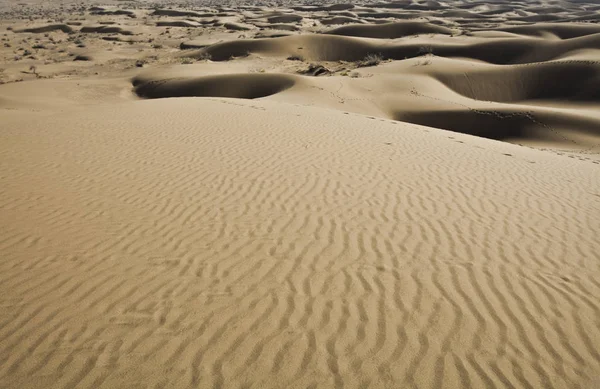 Αμμώδης Έρημος Αμμόλοφος Τοπίο — Φωτογραφία Αρχείου