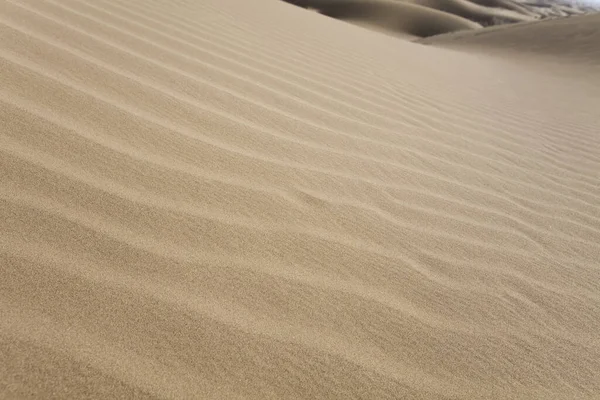 Sandy Desert Dune Landscape — Stock Photo, Image