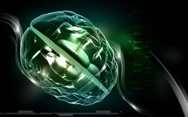 Цифровая Иллюстрация Мозга Цветном Фоне — стоковое фото