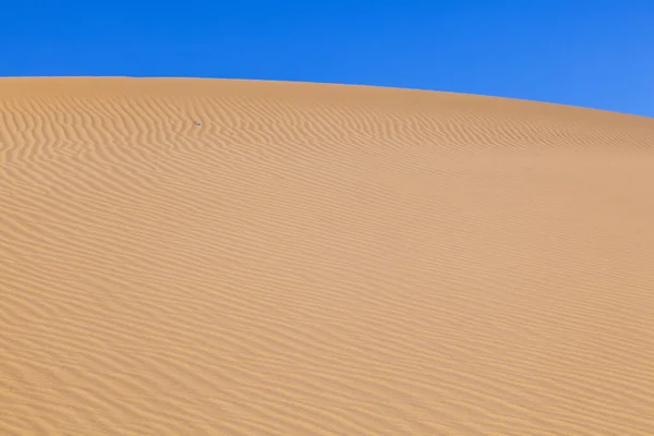 Όμορφη Αμμόλοφος Στην Ανατολή Στην Έρημο — Φωτογραφία Αρχείου