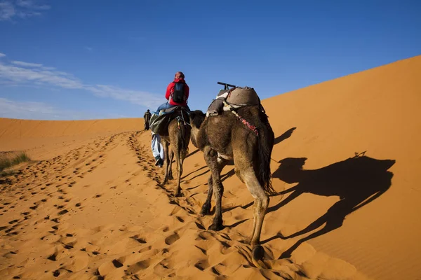Dunas Sahara Marroquí — Foto de Stock