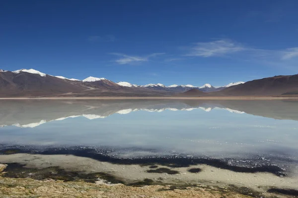 Lago Sal Laguna Verde Bolivia Paisaje —  Fotos de Stock