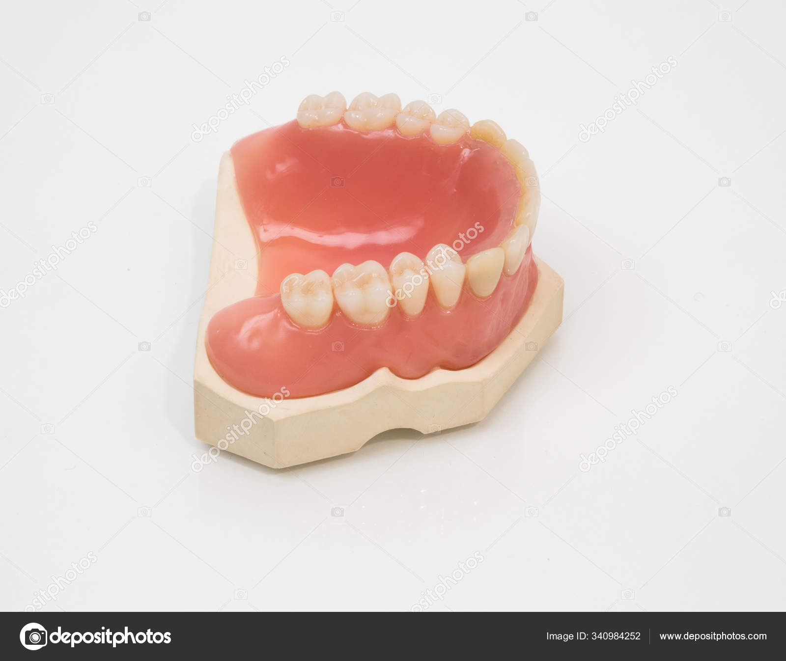 Dents Artificielles Sophistiquées L'atelier Dentaire image libre de droit  par PantherMediaSeller © #340984252