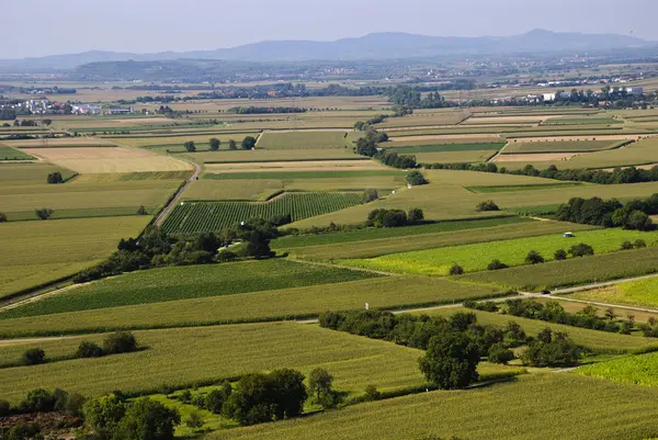 Paisagem Agrícola Repleta Campos Baden Wurttemberg Alemanha — Fotografia de Stock