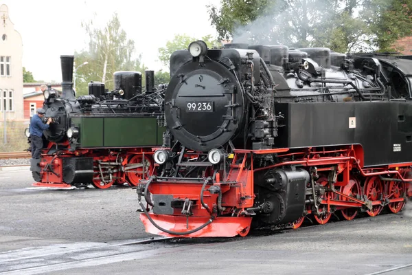 Locomotora Vapor Los Ferrocarriles Vía Estrecha Harz —  Fotos de Stock