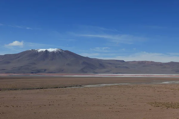 Laguna Colorada Die Anden — Stockfoto