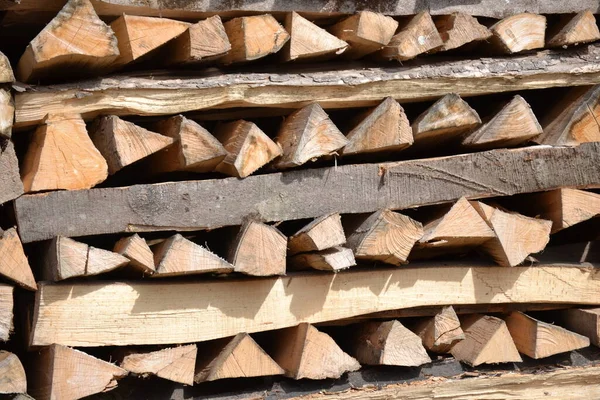 薪木の幹 — ストック写真