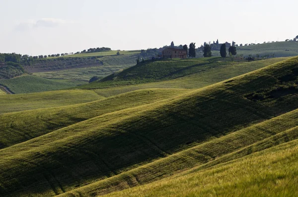 Paisaje Toscano Centro Italia — Foto de Stock