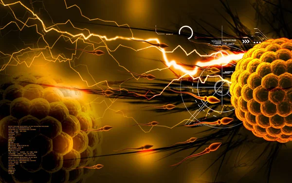 Digital Illustration Sperm Egg Colour Background — Stock Photo, Image
