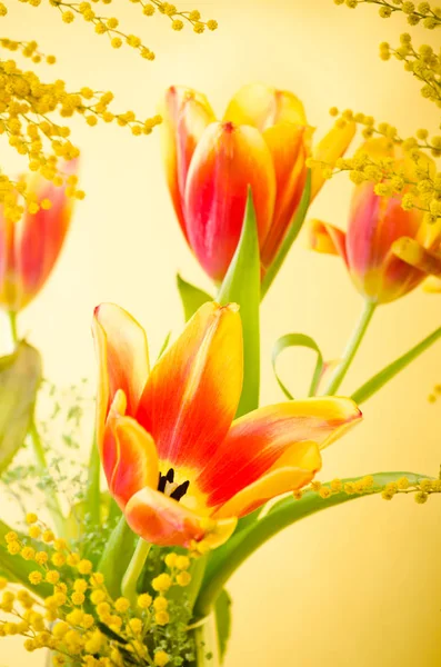 Bouquet Primavera Con Una Mimosa Tulipani — Foto Stock