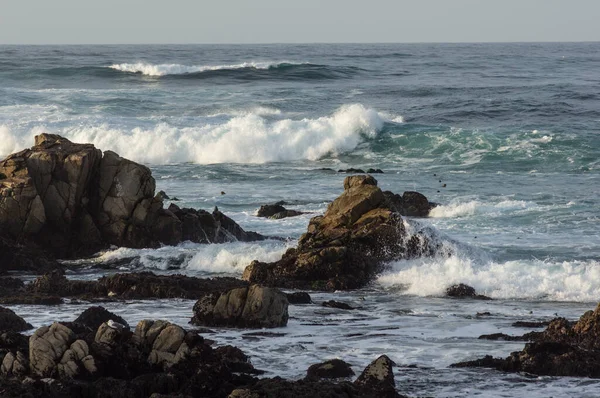 Scenic Rotsachtige Kustlijn Langs Historische Mile Drive Pebble Beach Californië — Stockfoto