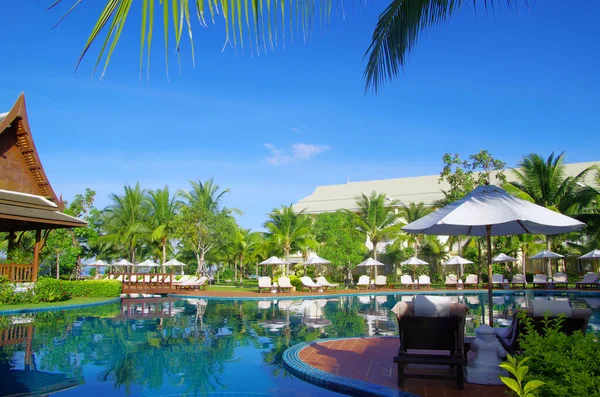 Piscina Tropical Com Coqueiro Guarda Chuva Branco — Fotografia de Stock