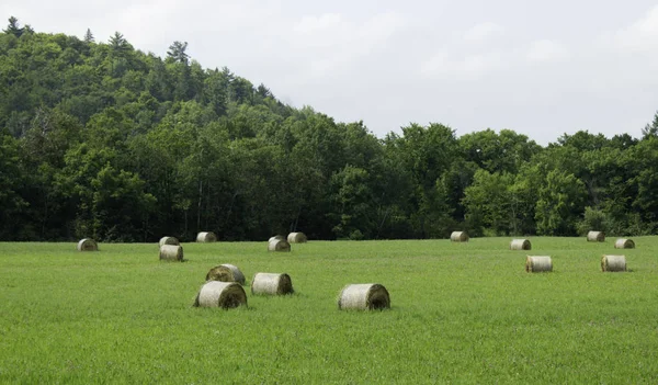 Tarımsal Kırsal Alanlar Tarlalarda Balyalar — Stok fotoğraf