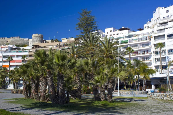 Palme Una Spiaggia Almunecar Andalusia Costa Del Sol Spagna — Foto Stock