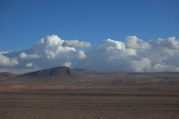 Laguna Colorada Les Andes — Photo