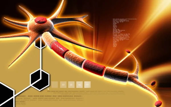 Digitale Illustratie Van Neuron Kleur Achtergrond — Stockfoto