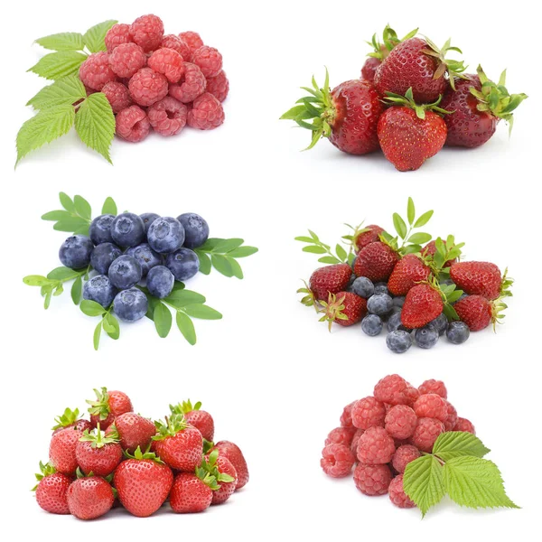 Recogida Frutas Frescas —  Fotos de Stock