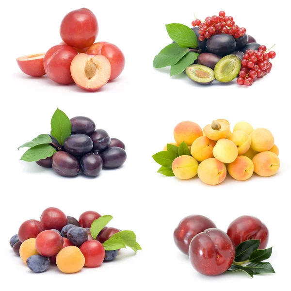 Recogida Frutas Frescas —  Fotos de Stock