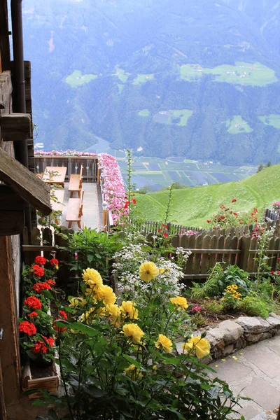 Sentiero Alta Montagna Merano Alto Adige — Foto Stock