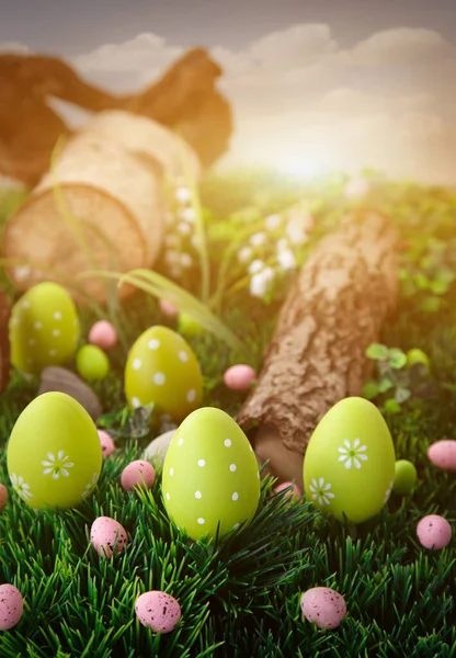 Colorful Easter Eggs Holiday Nature Concept Easter Hunt Eggs Sunny — Stock Photo, Image