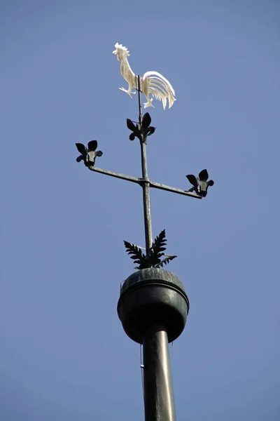 Meeuw Stad — Stockfoto