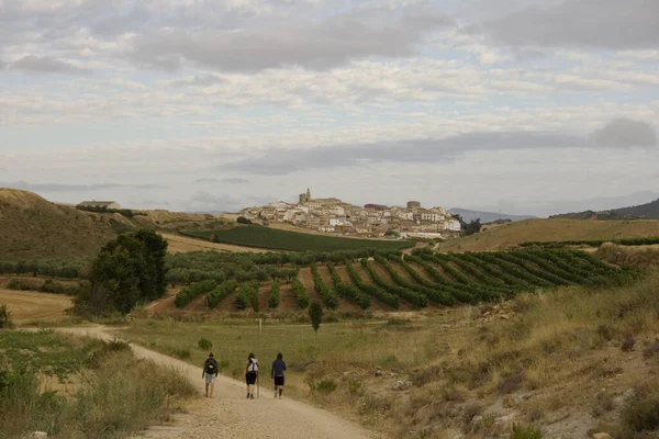 Campo Agrícola Fardos Campo — Foto de Stock