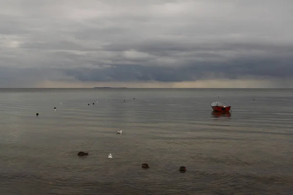 Vue Panoramique Des Détails Voilier — Photo